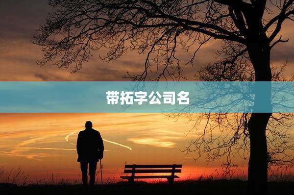 带拓字公司名