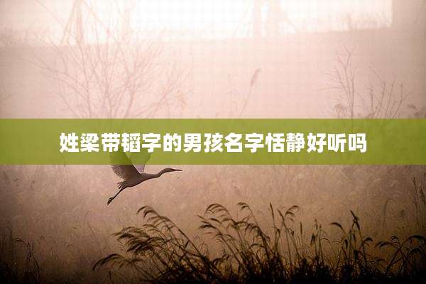 姓梁带韬字的男孩名字恬静好听吗