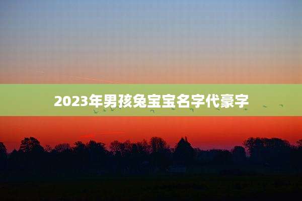 2023年男孩兔宝宝名字代豪字
