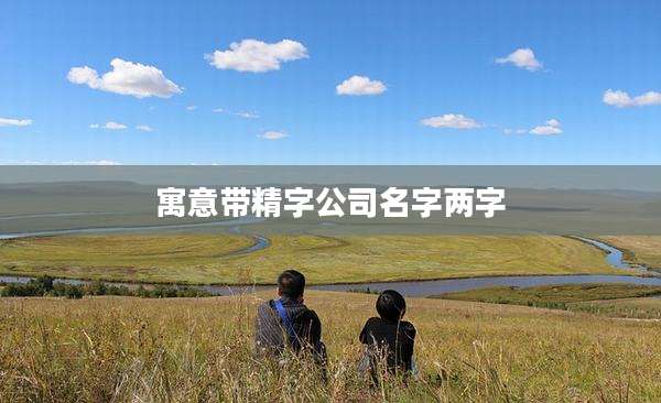 寓意带精字公司名字两字