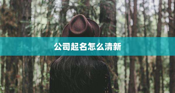 公司起名怎么清新