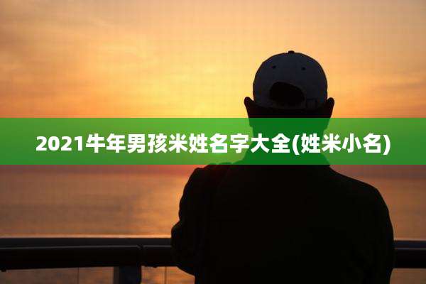 2021牛年男孩米姓名字大全(姓米小名)