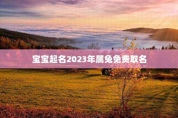 宝宝起名2023年属兔免费取名