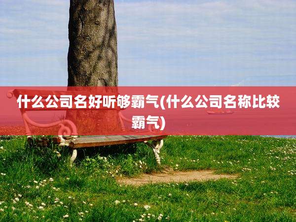 什么公司名好听够霸气(什么公司名称比较霸气)