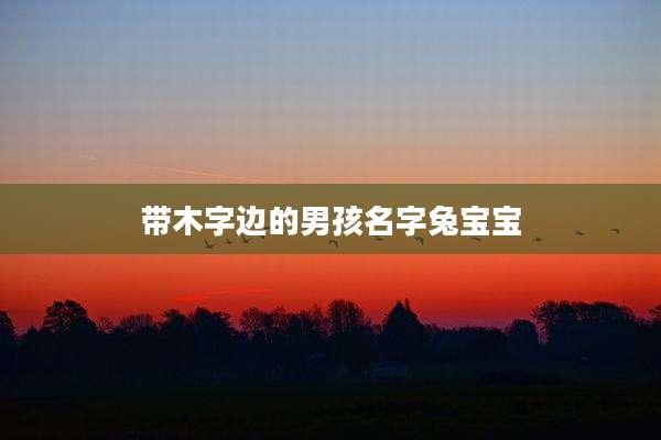 带木字边的男孩名字兔宝宝