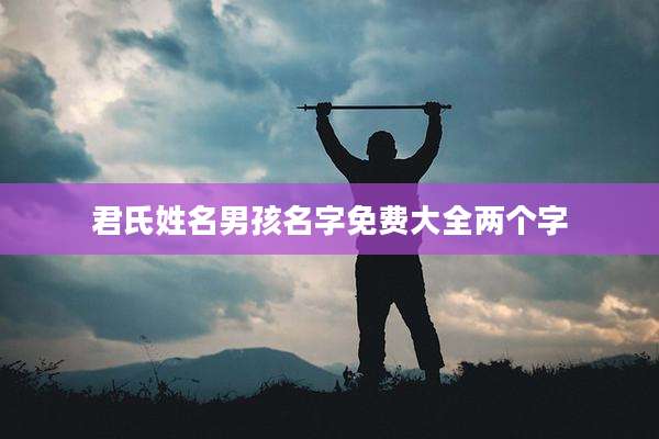 君氏姓名男孩名字免费大全两个字