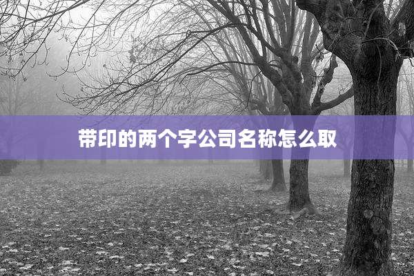 带印的两个字公司名称怎么取