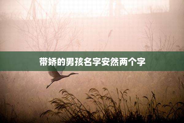 带娇的男孩名字安然两个字