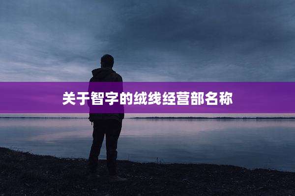 关于智字的绒线经营部名称