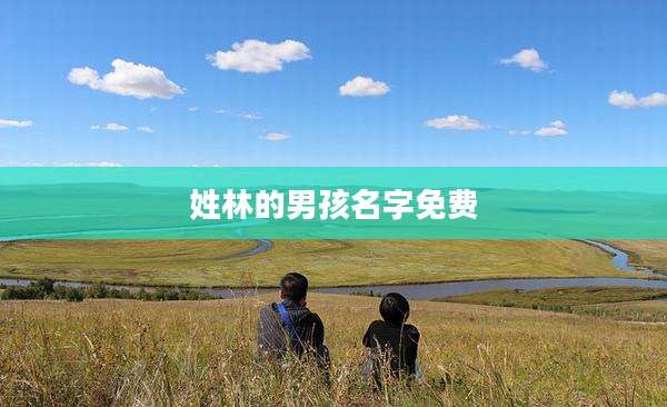 姓林的男孩名字免费