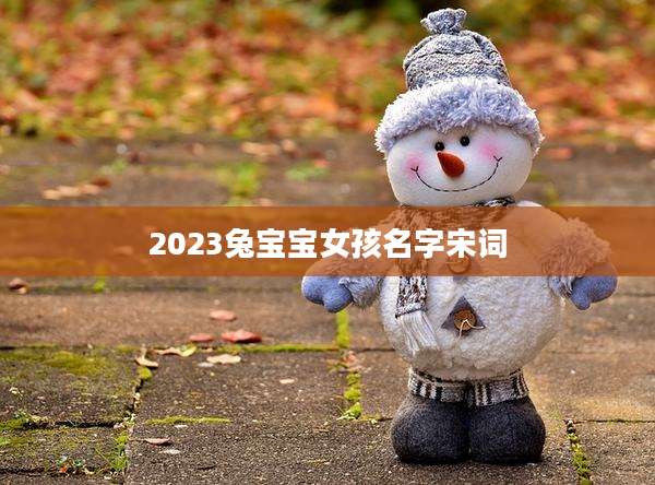2023兔宝宝女孩名字宋词