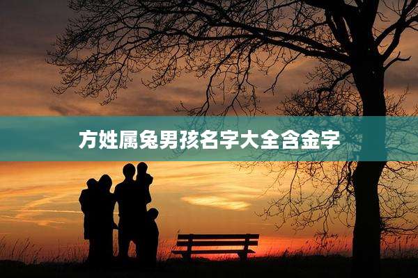 方姓属兔男孩名字大全含金字
