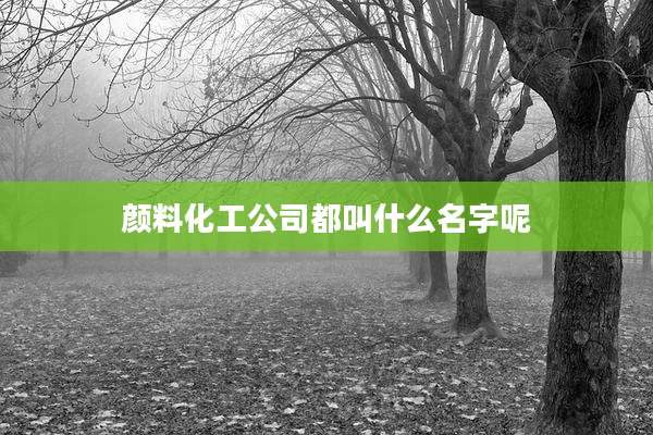 颜料化工公司都叫什么名字呢