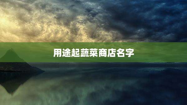 用途起蔬菜商店名字