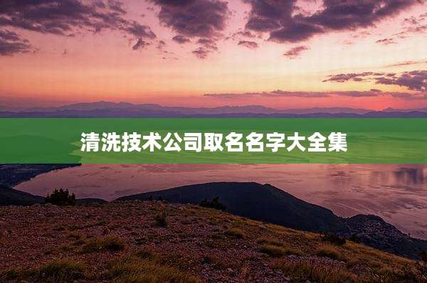 清洗技术公司取名名字大全集