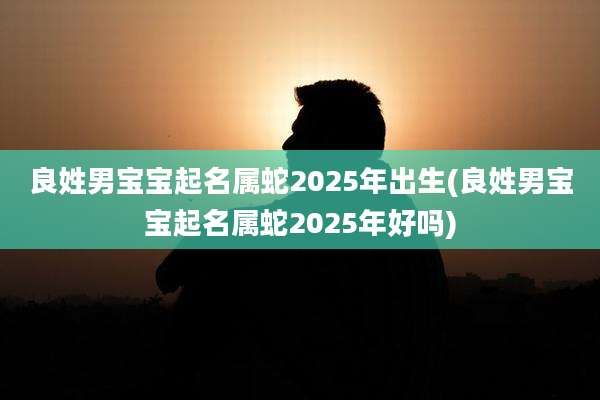 良姓男宝宝起名属蛇2025年出生(良姓男宝宝起名属蛇2025年好吗)