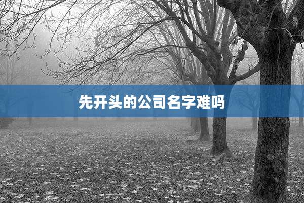 先开头的公司名字难吗