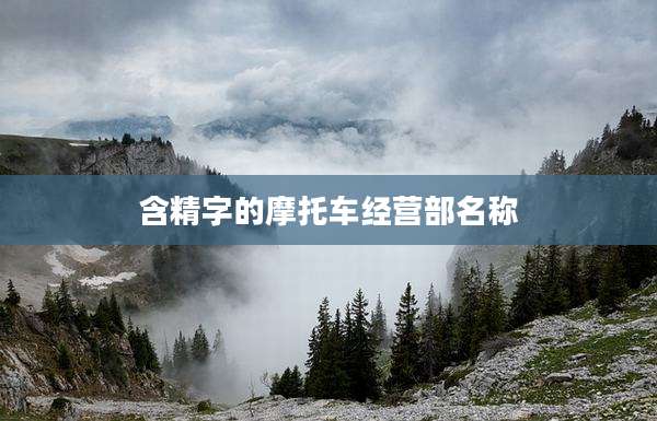 含精字的摩托车经营部名称
