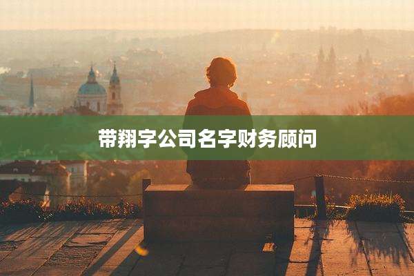 带翔字公司名字财务顾问
