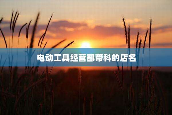电动工具经营部带科的店名