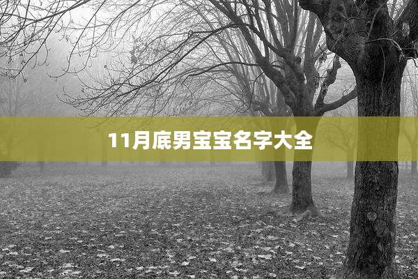 11月底男宝宝名字大全