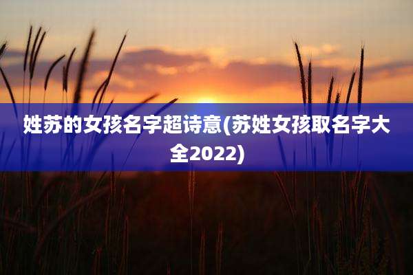 姓苏的女孩名字超诗意(苏姓女孩取名字大全2022)