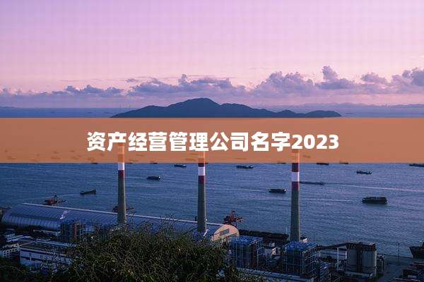 资产经营管理公司名字2023