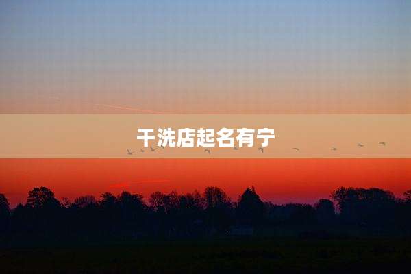 干洗店起名有宁