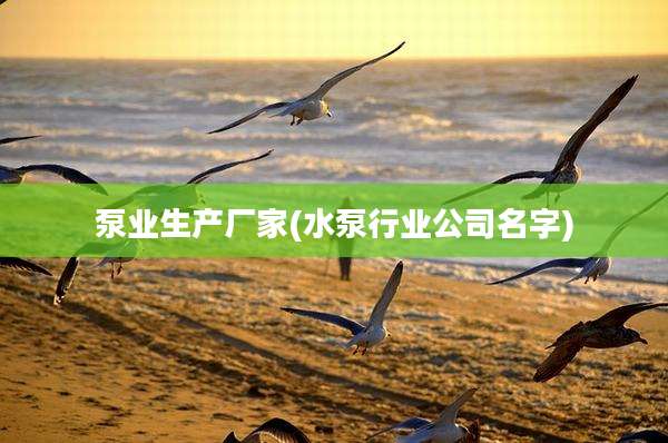 泵业生产厂家(水泵行业公司名字)