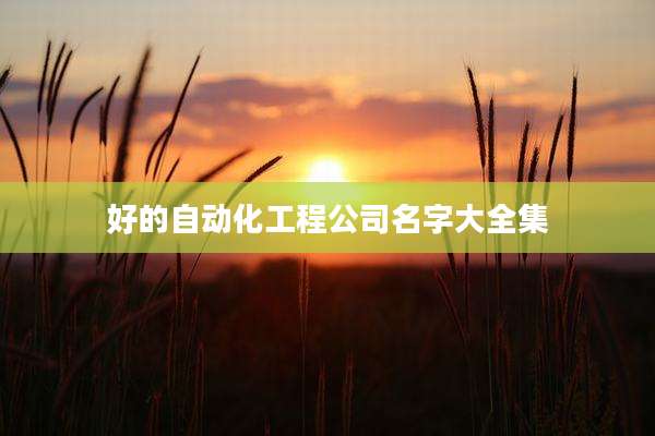 好的自动化工程公司名字大全集