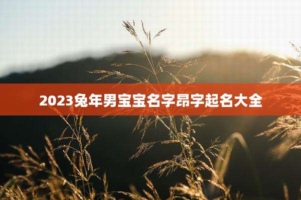 2023兔年男宝宝名字昂字起名大全