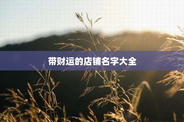 带财运的店铺名字大全