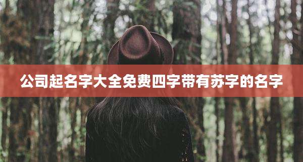 公司起名字大全免费四字带有苏字的名字