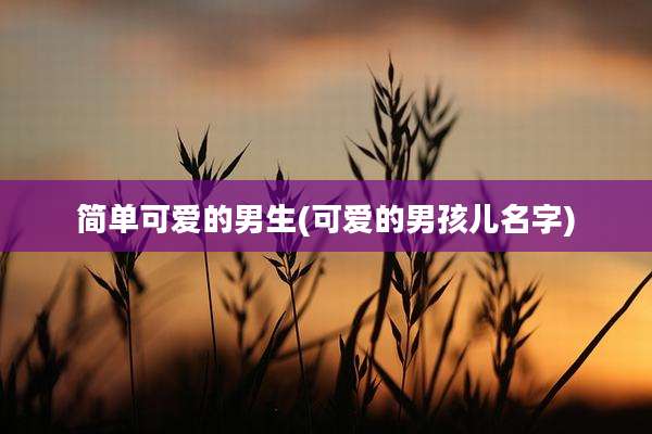 简单可爱的男生(可爱的男孩儿名字)