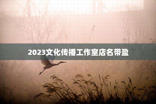 2023文化传播工作室店名带盈
