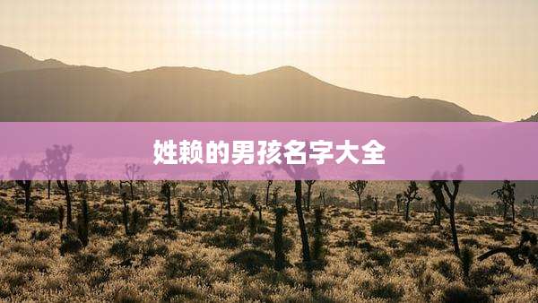 姓赖的男孩名字大全