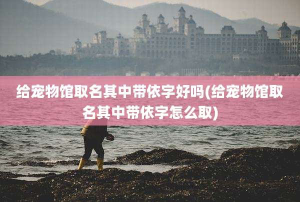 给宠物馆取名其中带依字好吗(给宠物馆取名其中带依字怎么取)