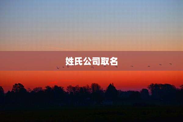 姓氏公司取名