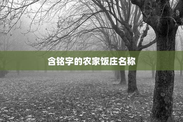 含铭字的农家饭庄名称