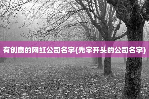 有创意的网红公司名字(先字开头的公司名字)