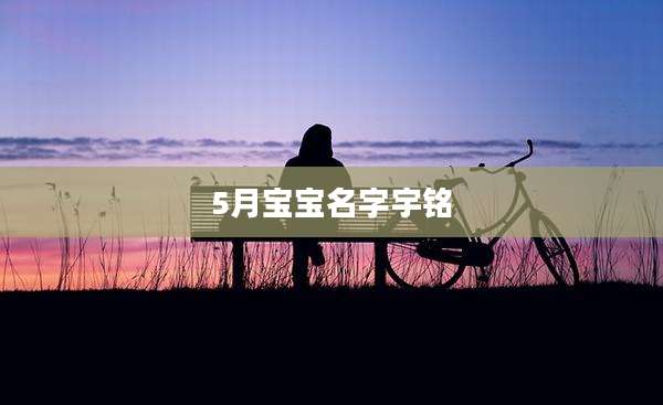 5月宝宝名字宇铭