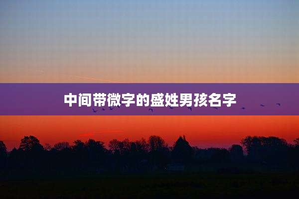 中间带微字的盛姓男孩名字