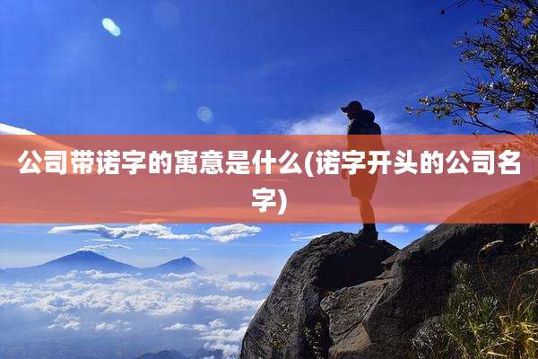 公司带诺字的寓意是什么(诺字开头的公司名字)