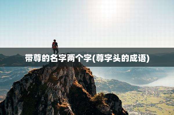带尊的名字两个字(尊字头的成语)
