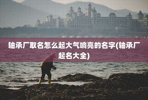 轴承厂取名怎么起大气响亮的名字(轴承厂起名大全)