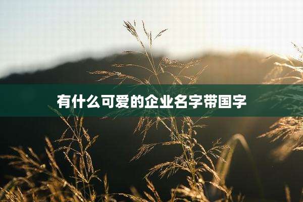有什么可爱的企业名字带国字