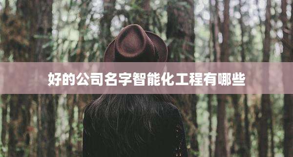 好的公司名字智能化工程有哪些