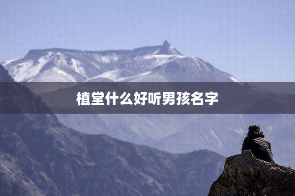 植堂什么好听男孩名字