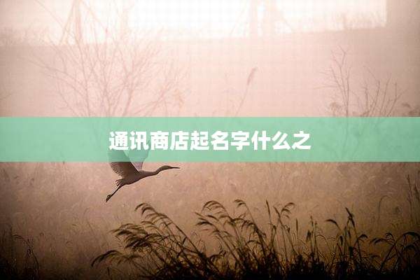 通讯商店起名字什么之