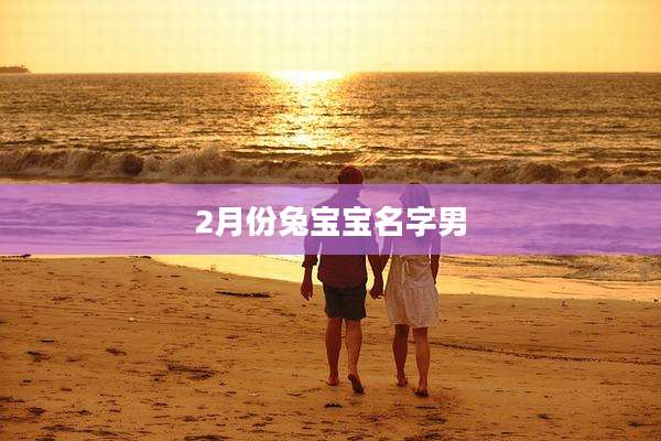 2月份兔宝宝名字男